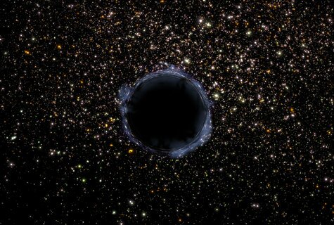 Black Hole Rogue